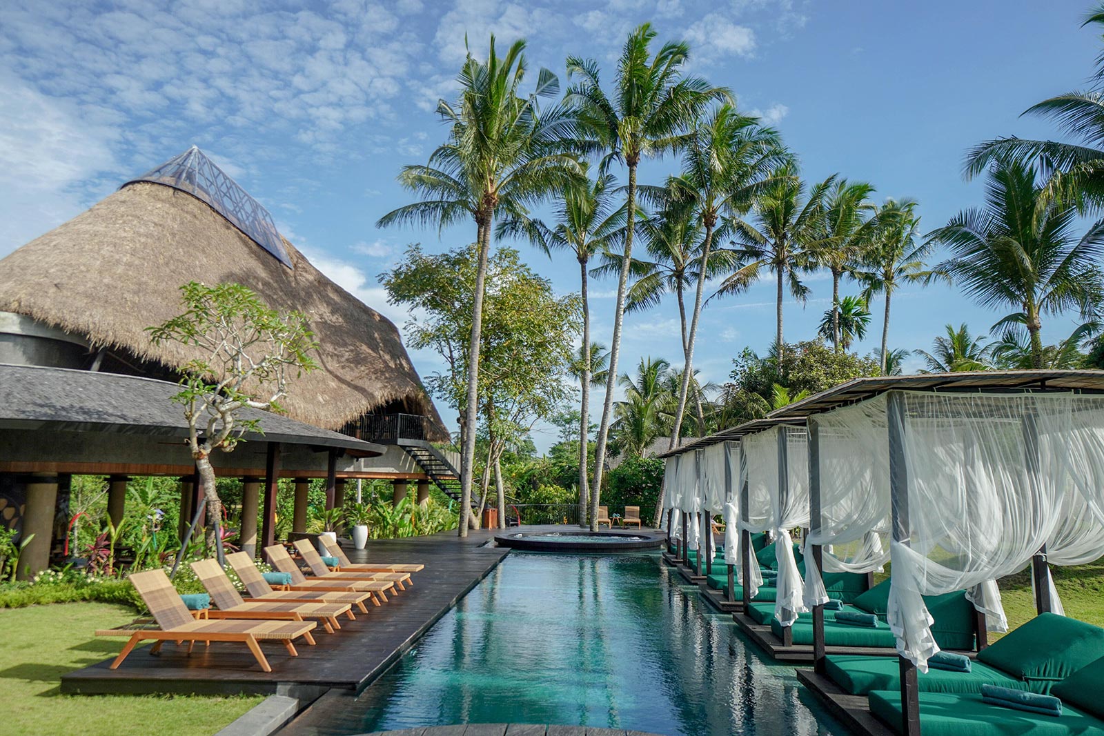 Beyond the Spa: Unique Wellness Experiences to Try in Ubud